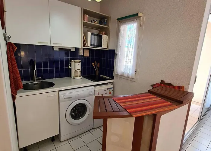 公寓 2p Cabine, 100m Plage, Terrasse, Parking - - Fr-1-388-94 *