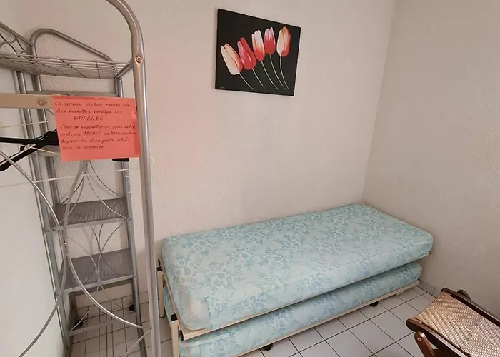 公寓 2p Cabine, 100m Plage, Terrasse, Parking - - Fr-1-388-94 *